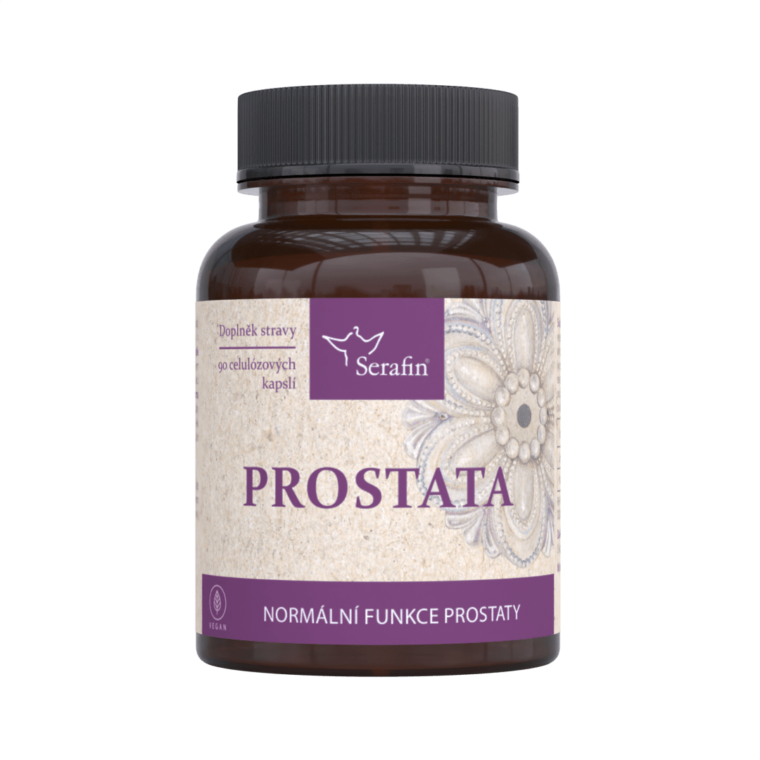 Prostata