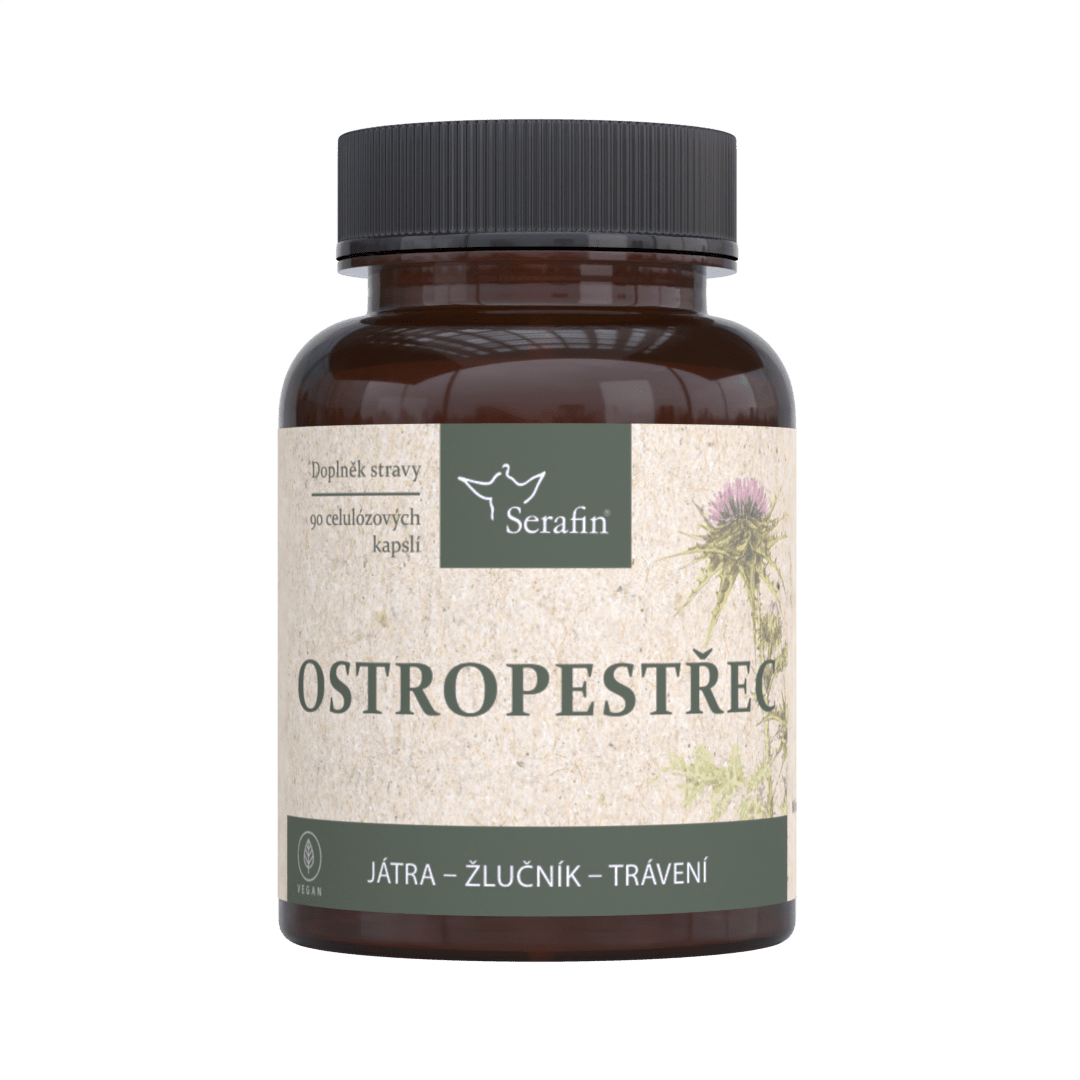 Ostropestřec
