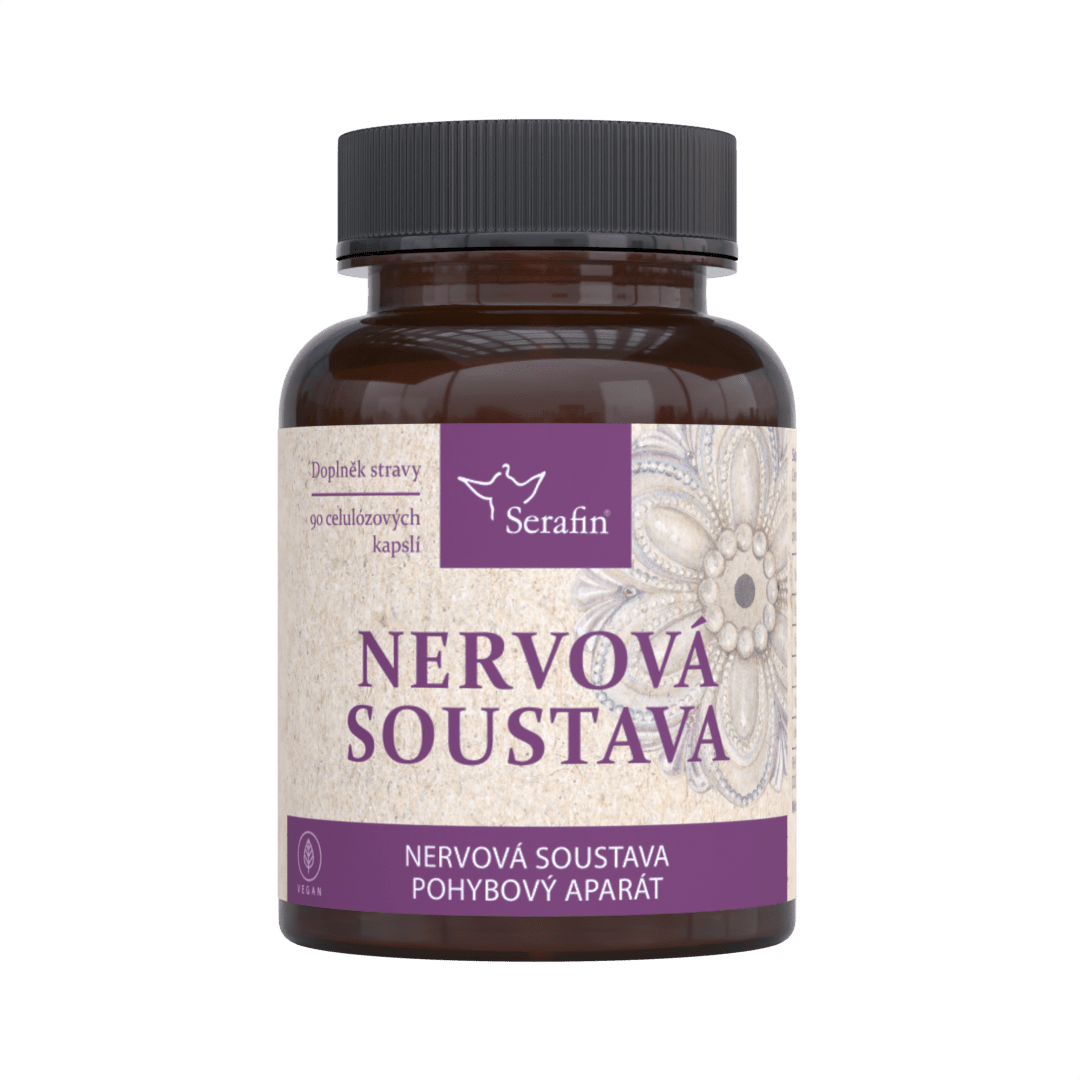 Nervová soustava