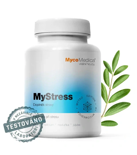 MyStress