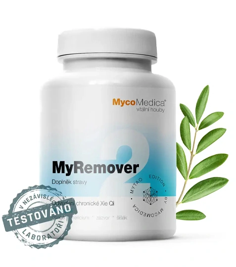 MyRemover 2