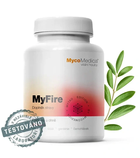 MyFire