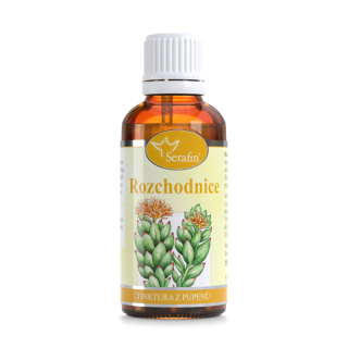 Rozchodnice – tinktura z pupenů