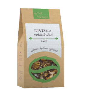 Divizna velkokvětá květ