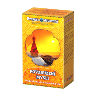 Povzbuzení mysli