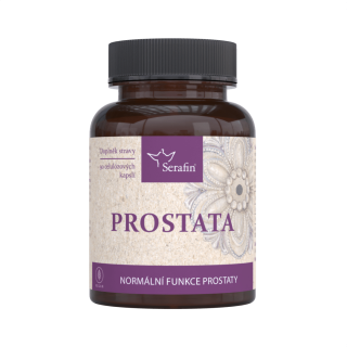 Prostata