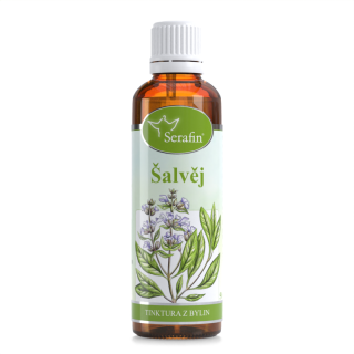 Šalvěj – tinktura z bylinv