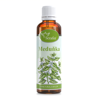Meduňka – tinktura z bylin