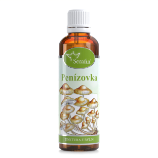 Penízovka – tinktura z bylin