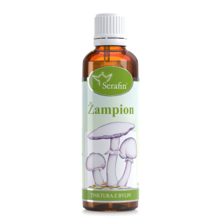 Žampion – tinktura z bylin