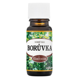 Borůvka